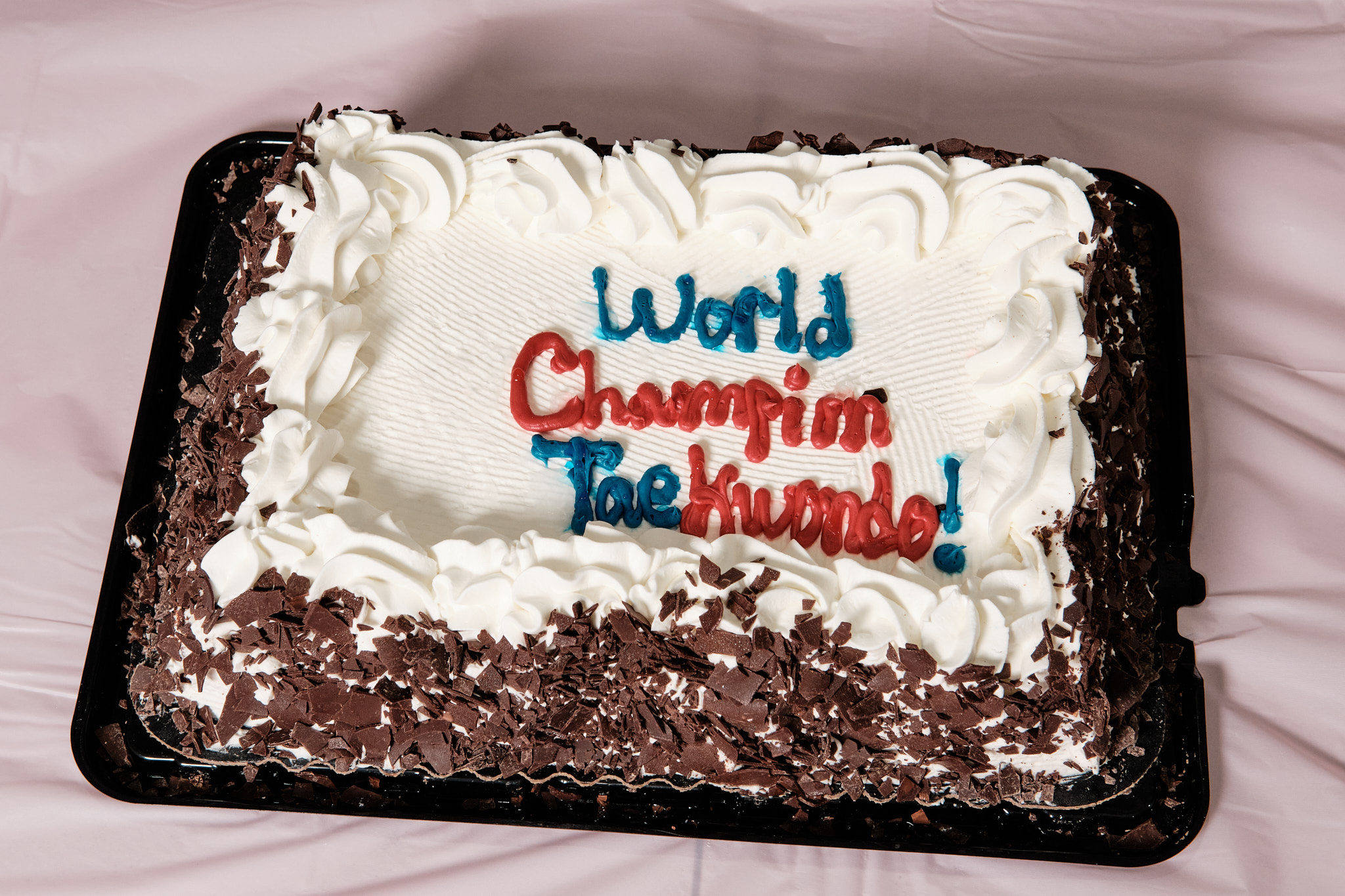World Champion Taekwondo Birthday Parties